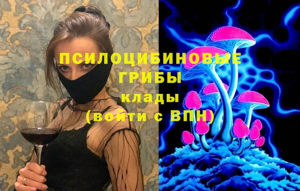 хмурый Абинск