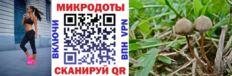 Галлюциногенные грибы MAGIC MUSHROOMS  наркотики  Липецк 