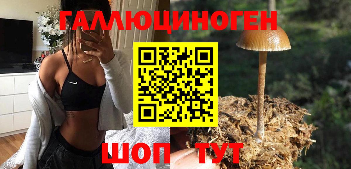 Псилоцибиновые грибы ЛСД Липецк